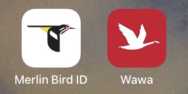 Lillian Barkley tweet media