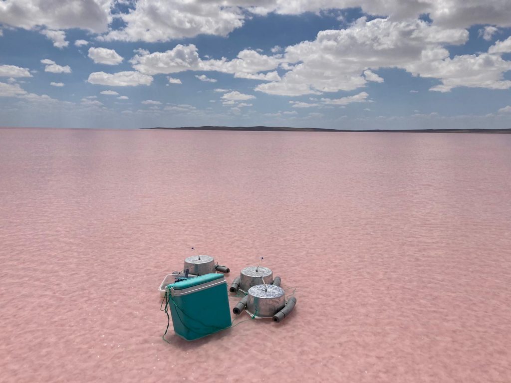 aquaticecology@metu_ims (@ecologyaquatic) on Twitter photo Our Team is at the Summer Expedition for Saline Lakes Project with <a href="/MetuLimnology/">Limnology METU</a> .
The aim of the study is a novel understanding of the structure and functioning of different types of saline lake ecosystems and their response to key stressors.
Wish the team a good expedition! Our Team is at the Summer Expedition for Saline Lakes Project with <a href="/MetuLimnology/">Limnology METU</a> .
The aim of the study is a novel understanding of the structure and functioning of different types of saline lake ecosystems and their response to key stressors.
Wish the team a good expedition!