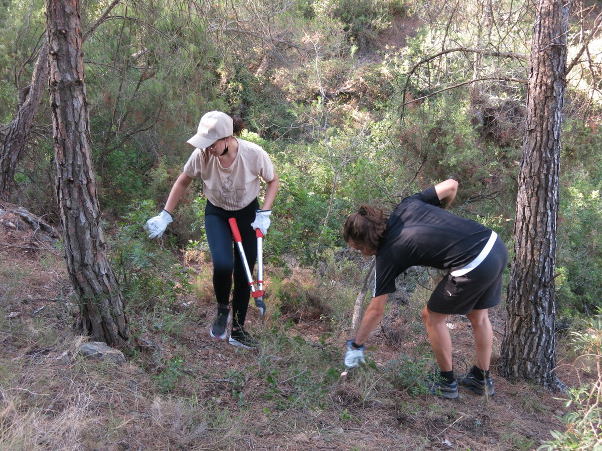 cesub_subirats's tweet photo. Camp de Treball de Joventut de la Generalitat a Subirats. Treball en la reconstrucció d’un marge de #pedraseca de #elpago danyat a causa del Gloria, controlar l’heura sobre el marge i en l’adequació del camí de les Trinxeres de la #guerracivilespanyola, utilitzat pel #ciudeb https://t.co/DLjjzS1tFi