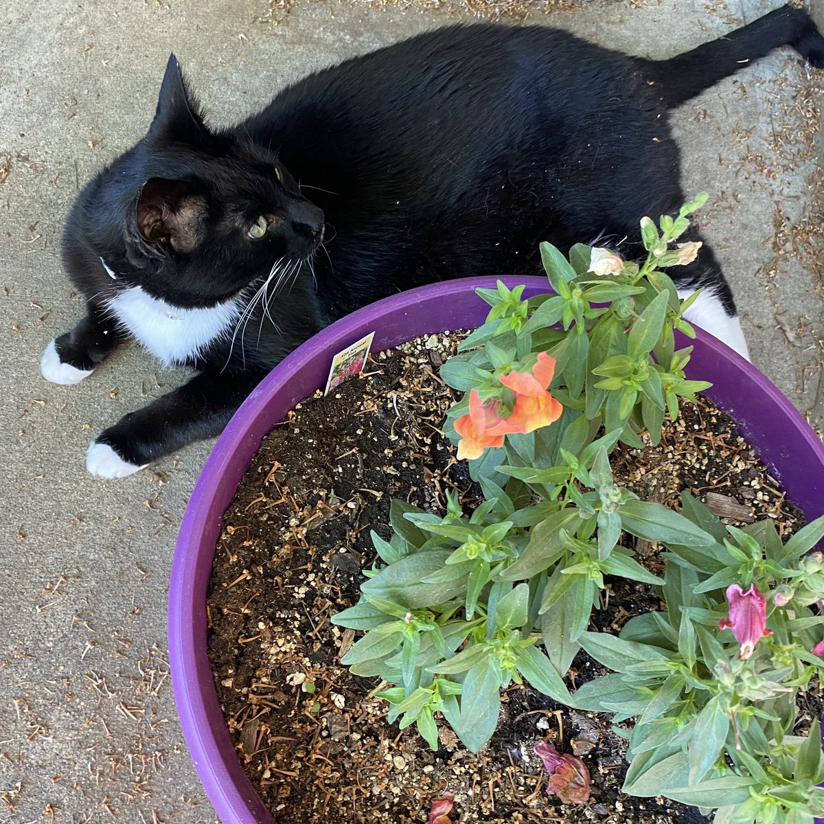Hey friends! I know I’ve been quiet on here but all is well. Smelling the summer flowers as per usual. Hope you’re all enjoying your Sunday! 💜