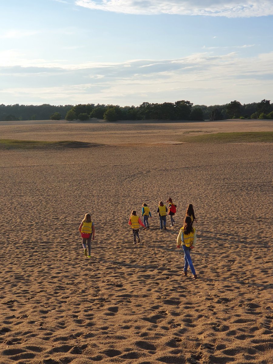 Kabouters tweet media