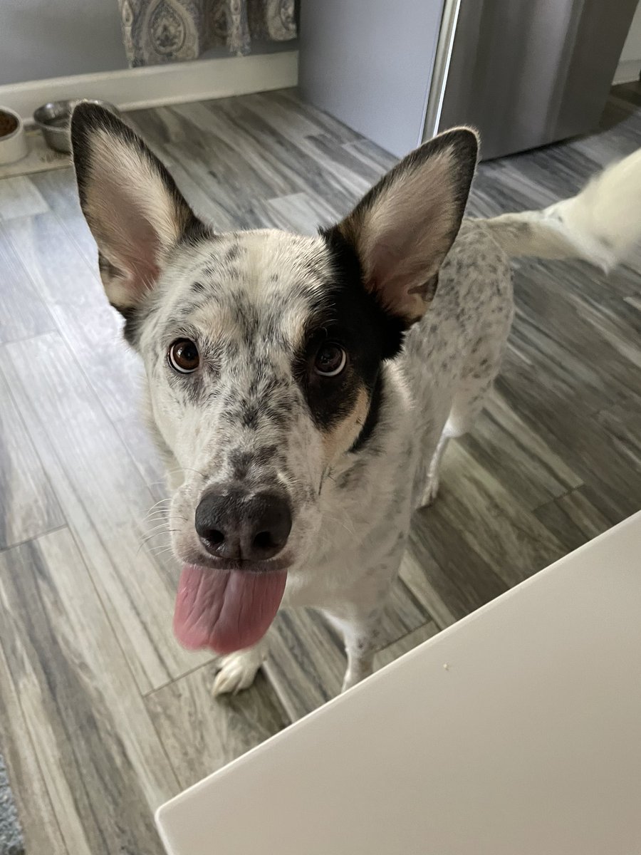 Love of my life 💕