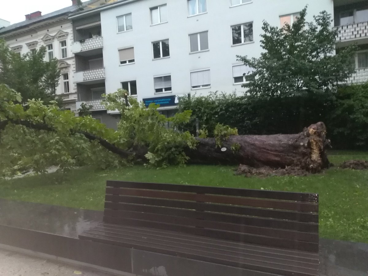 mositsch's tweet image. Linz Landhauspark #Gewitter