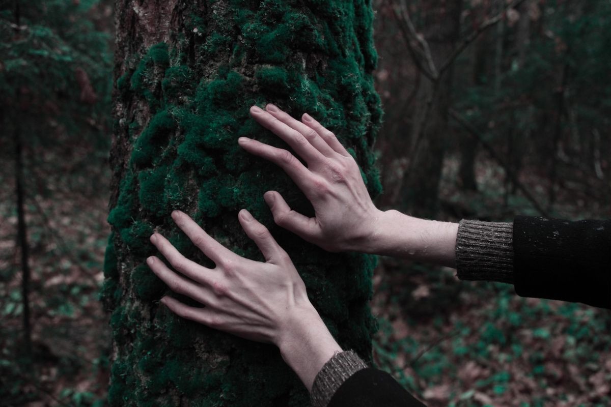 Человек который любит лес. Лес рук. Эстетика руки лес. Прикоснуться к дереву. Прикосновение к дереву.