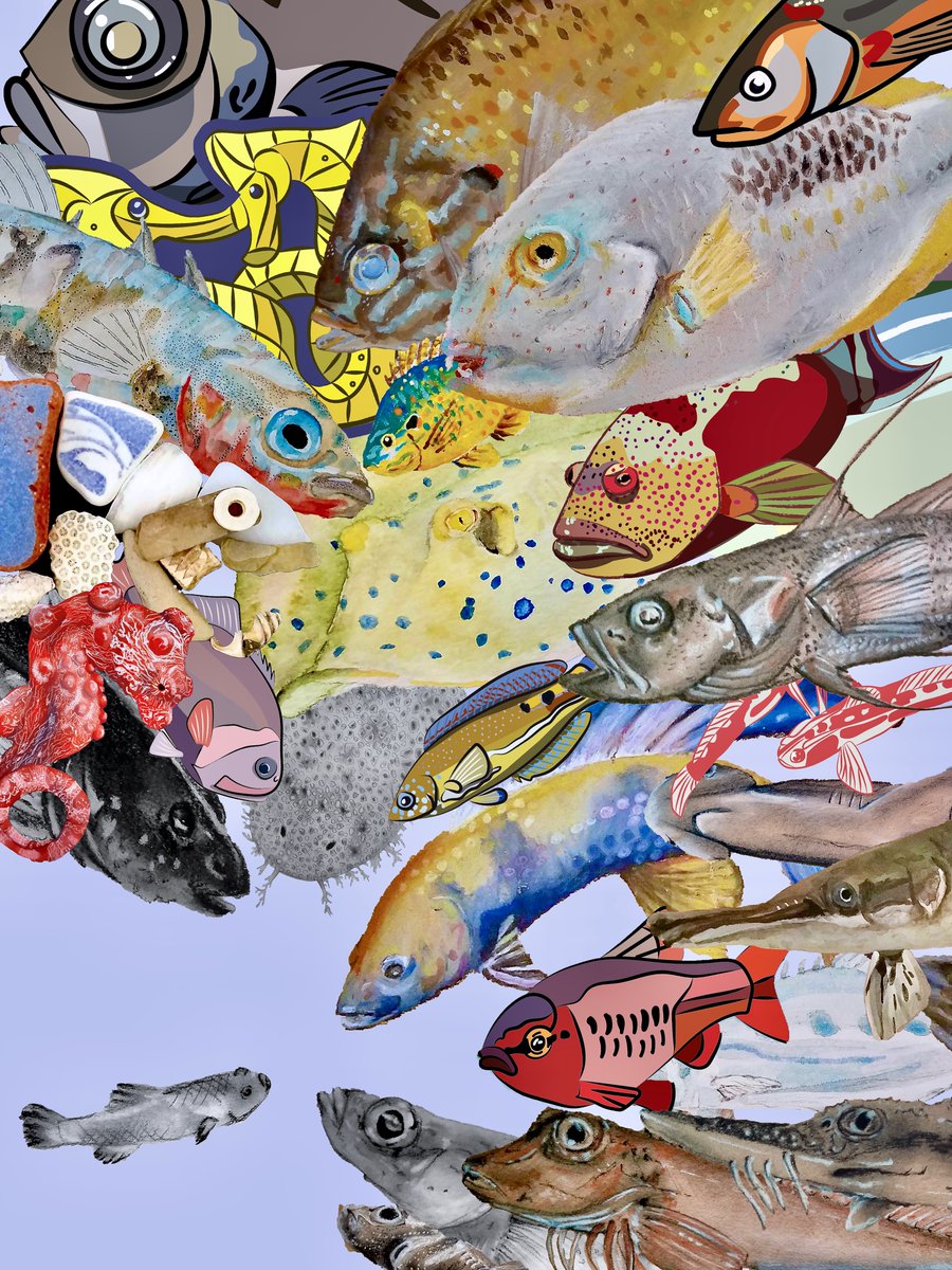 Calla4069's tweet photo. It's my #SundayFishSketch 1 year anniversary so here's a bunch of old drawings crammed together. I'm not sure what the pupfish did to have everyone so interested. Thanks @seetasaur for getting me into @Lampichthys 's cool project! https://t.co/9LEG1MbC9k