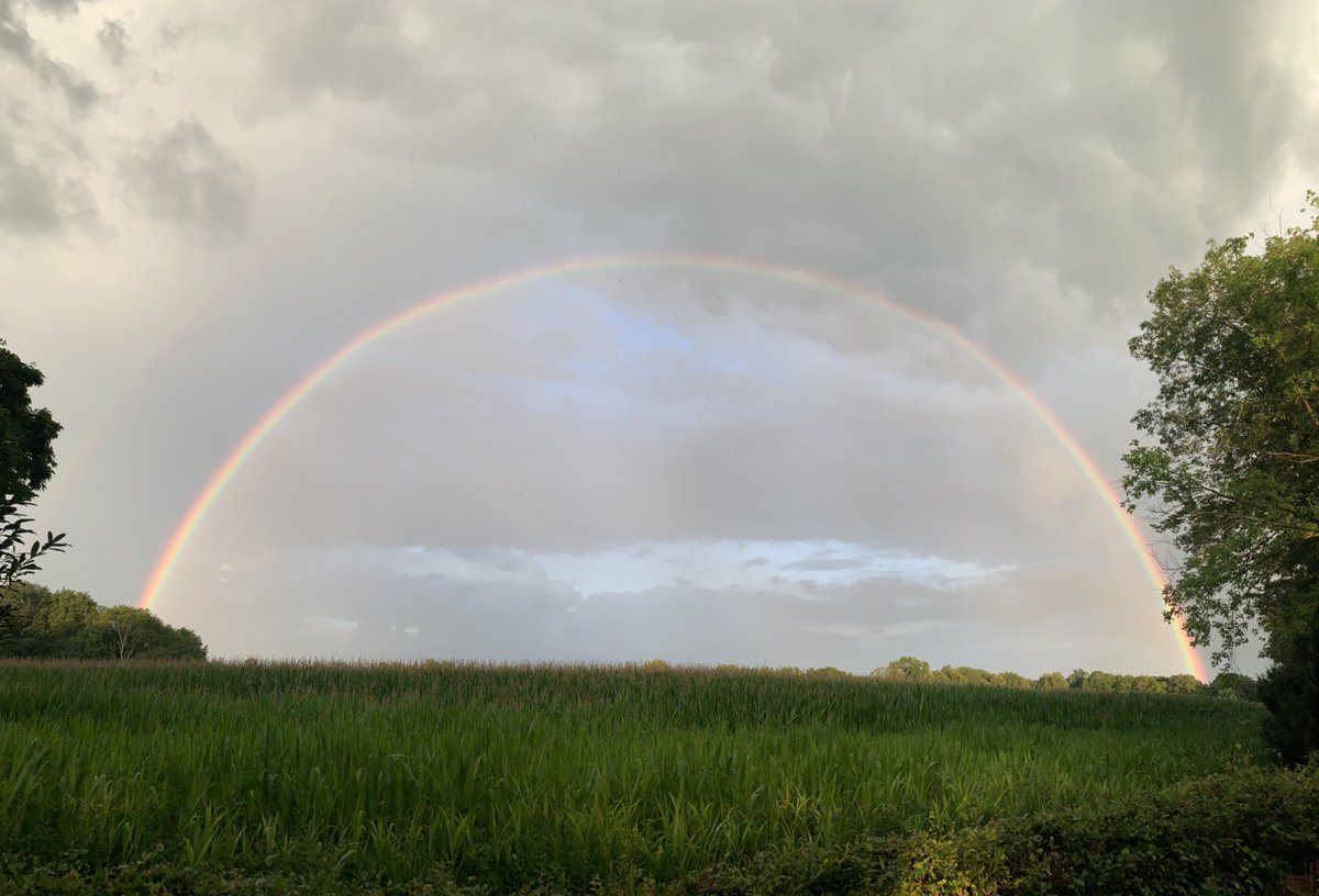 Marco Snikkers tweet media