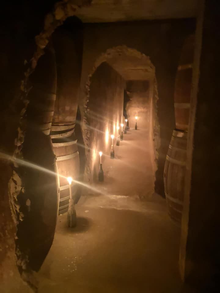 Boozy Foodie🍷 tweet media