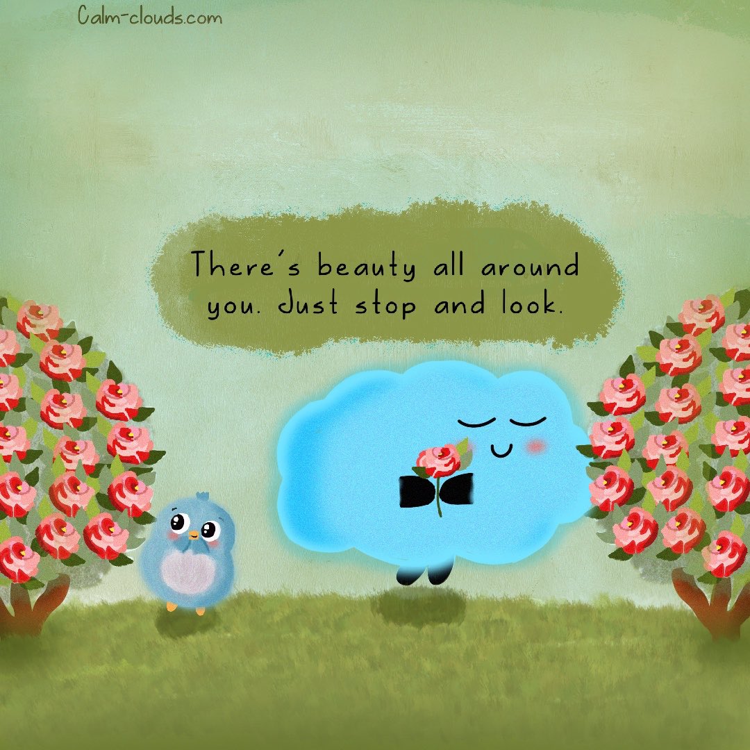 calm-clouds tweet media