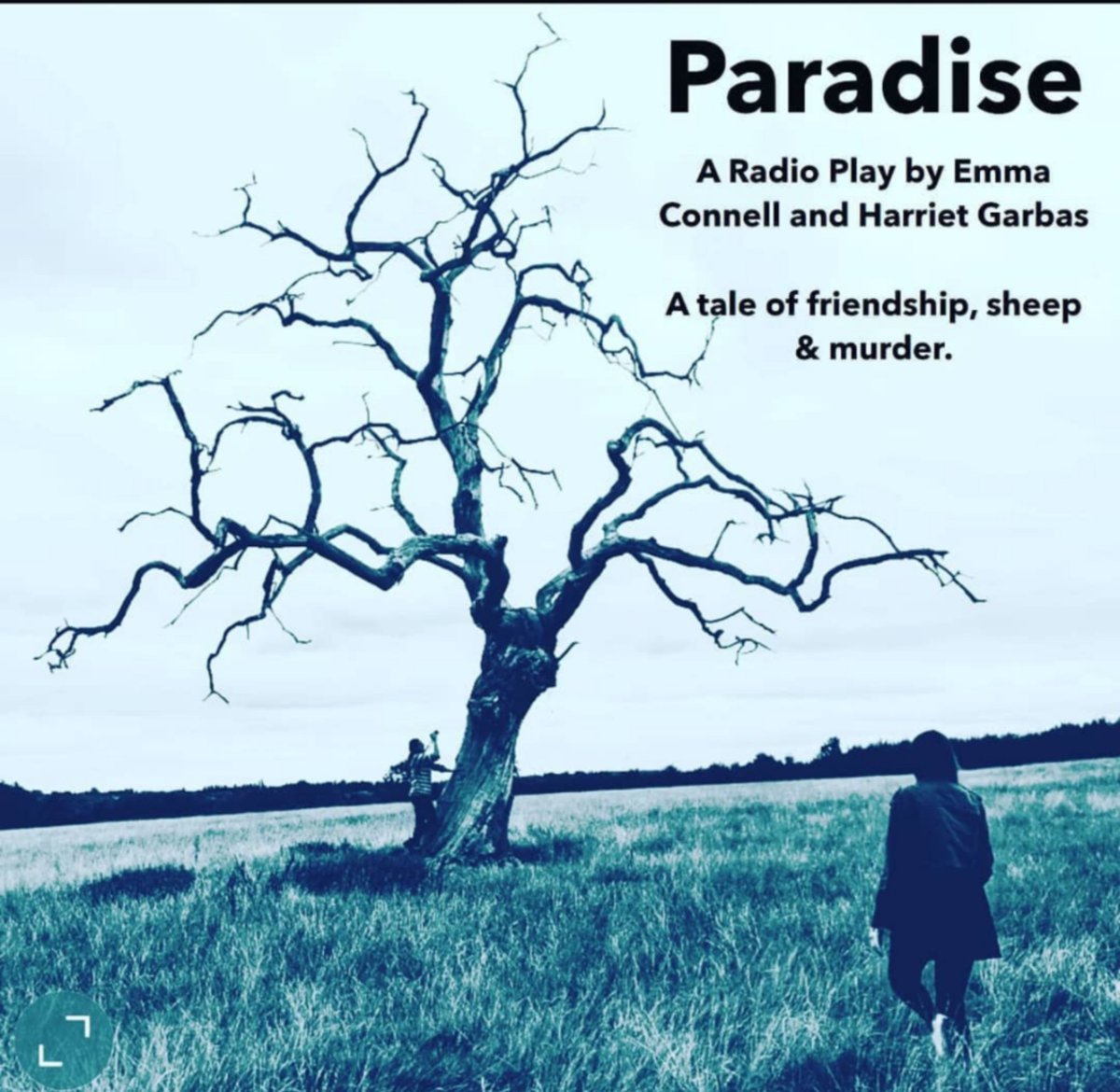 A Radio Play by Emma Connell and Harriet Garbas