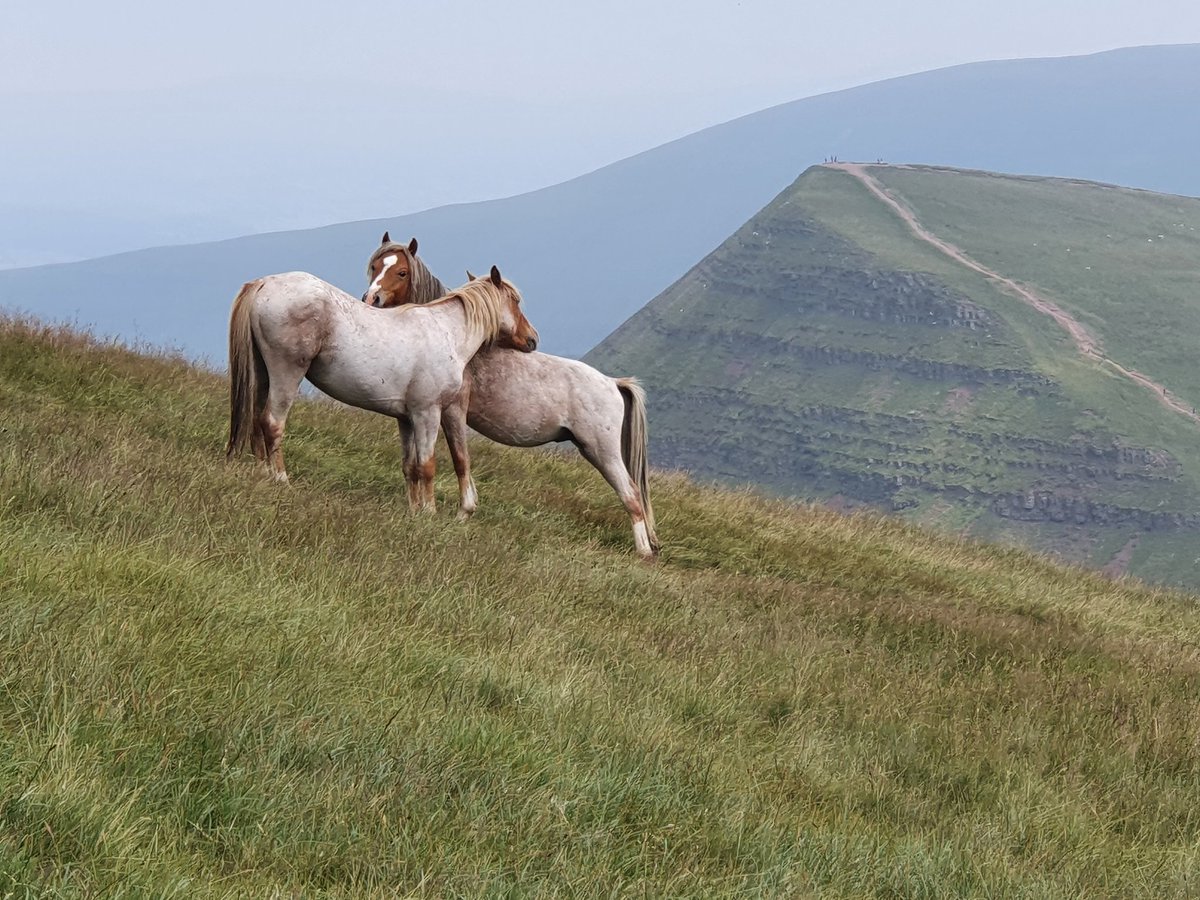 Brecon Beacons Tours ⛰🏴󠁧󠁢󠁷󠁬󠁳󠁿 tweet media
