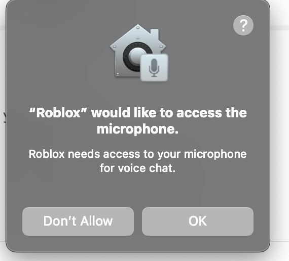 Roblox voice chat trials phone verification