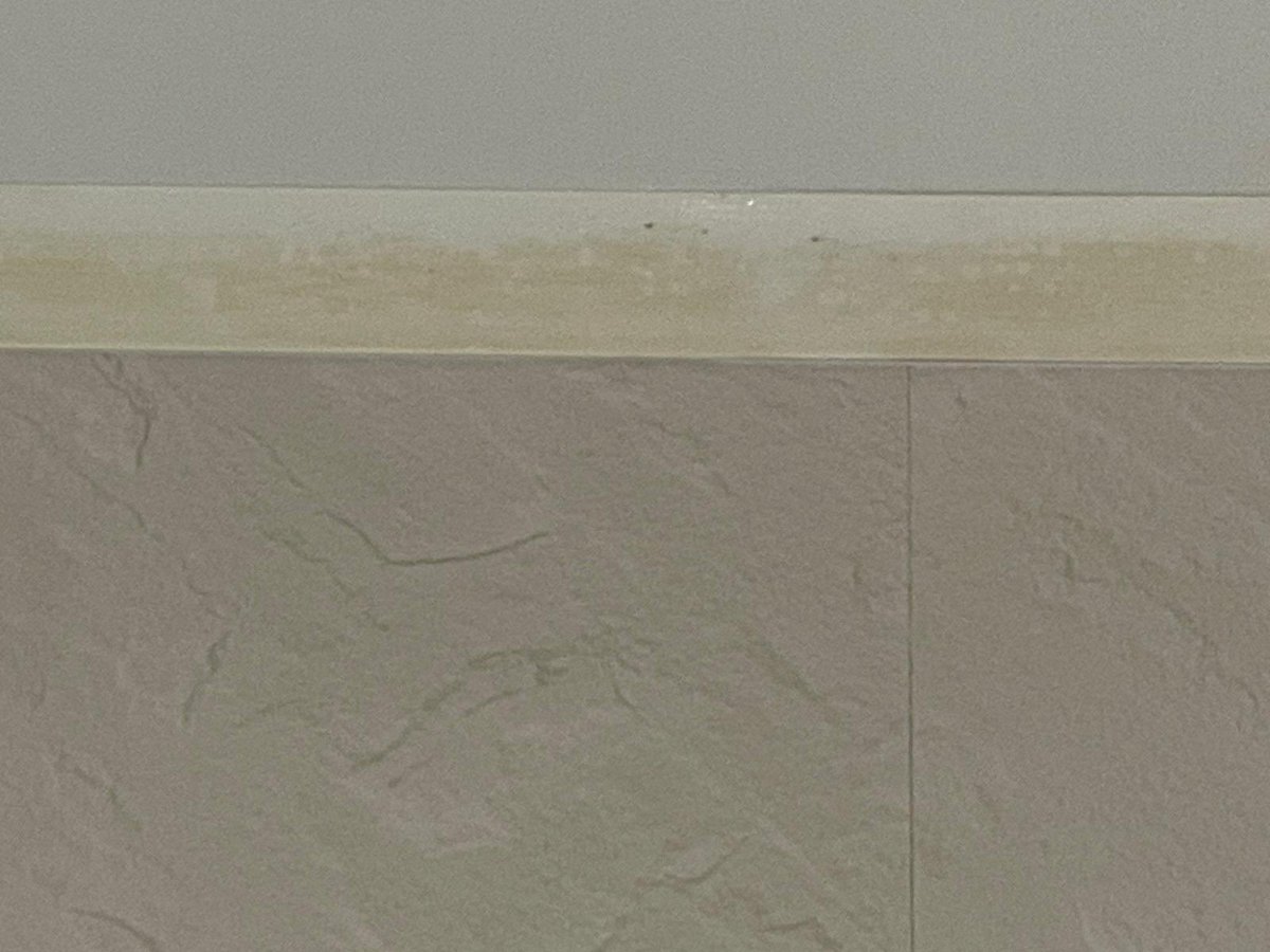 o_jenks's tweet photo. @Astonishcleaner please help. I used your mould / mildew this afternoon on a number of tiny specs of mould in my bathroom. 

The tiny specs of mould remain and my white panelling has stained yellow?!?! How do I remove this? https://t.co/alLSsk96O3