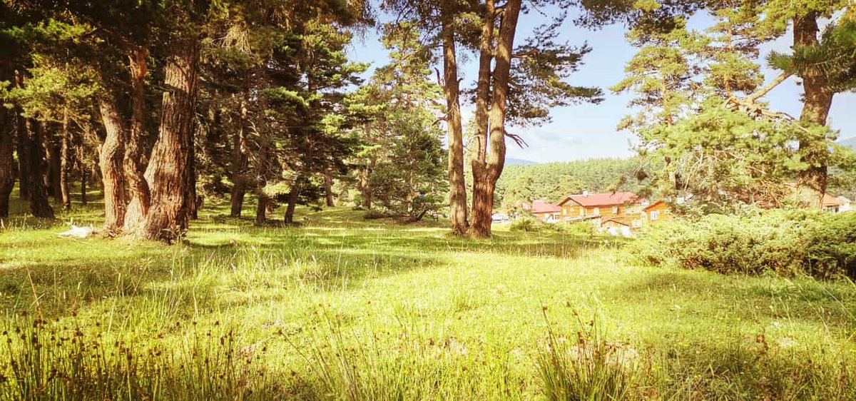 Doğanın kalbi Bolu.
Altı çim, üstü ormanlarla kaplı
Değerini bilelim
