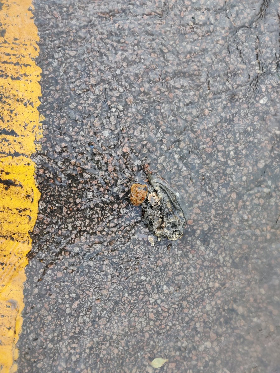 #LondonFlooding <a href="/haringeycouncil/">Haringey Council</a> <a href="/CatherineWest1/">Catherine West</a> this is only some of the things that have come up.fron the sewage during the flooding of my road. I have to ask, what will be done to clean this up and stop it happening again? Because nothing was done last time.