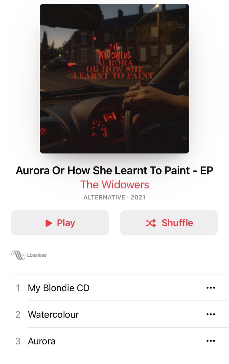 thewidowersisaband tweet media