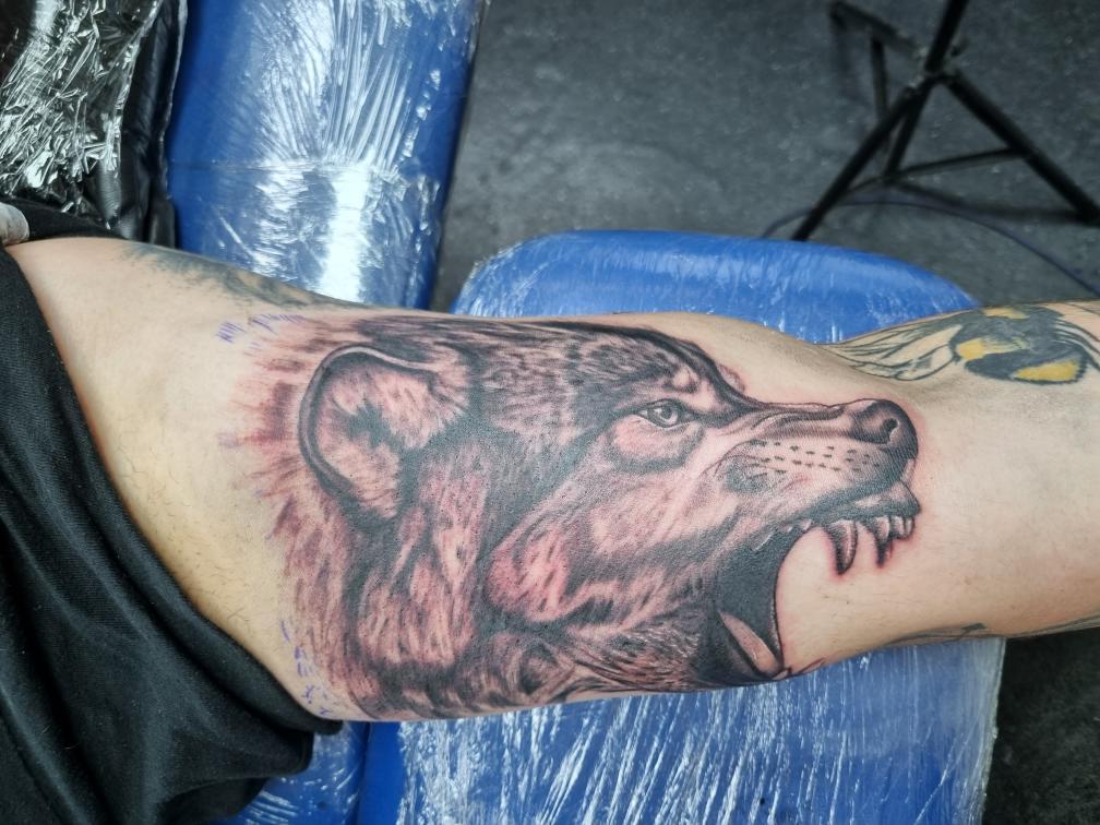 TierneyGBTattoo's tweet photo. https://t.co/mBDiPdJRJH