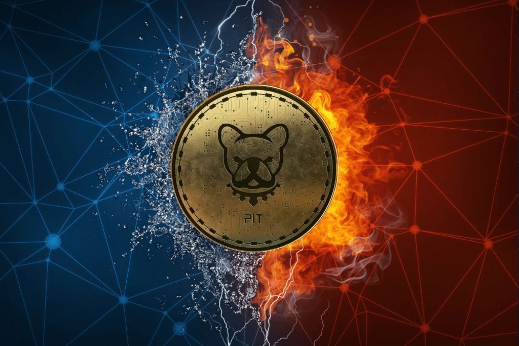 ArielTchimino's tweet photo. @GGG_invest @BscPitbull @HmngBsc @VitruvianToken Go @BscPitbull and @VitruvianToken 🚀🚀🚀💎
#PitBullish #Pitbullarmy #PitSwap #Pitfarm #PitChart #PitStop #PitFund #Pitbullcoin #Pitbulltoken https://t.co/vvGp4N1ums