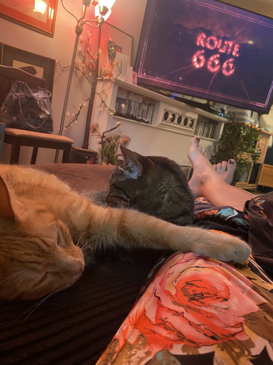 Spirit_Session's tweet image. Crazy special!!! Did you ever do an aftershocks with the residents of the hotel? It's was hands down one of the craziest episodes I've ever seen with the evidence captured! I would love to see if the energy became worse or better after! @ghostadventures @realzakbagans