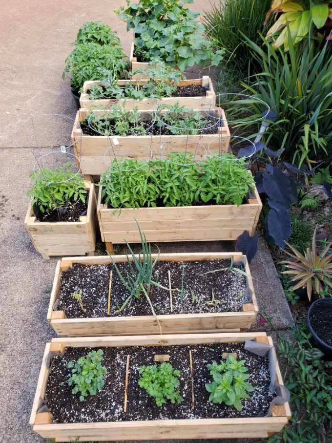 Steph (@steph_says) on Twitter photo 