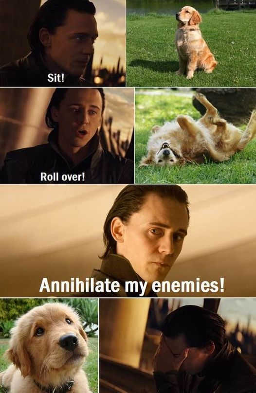 "I'm not sure who is the cuter one in this image play, my lord. You or the pooch."

"Grrrrrr ..."