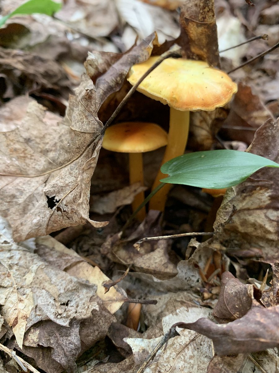 justjeni85's tweet photo. Took some time to explore this weekend… it’s been too long. https://t.co/vvRDPKg9o8