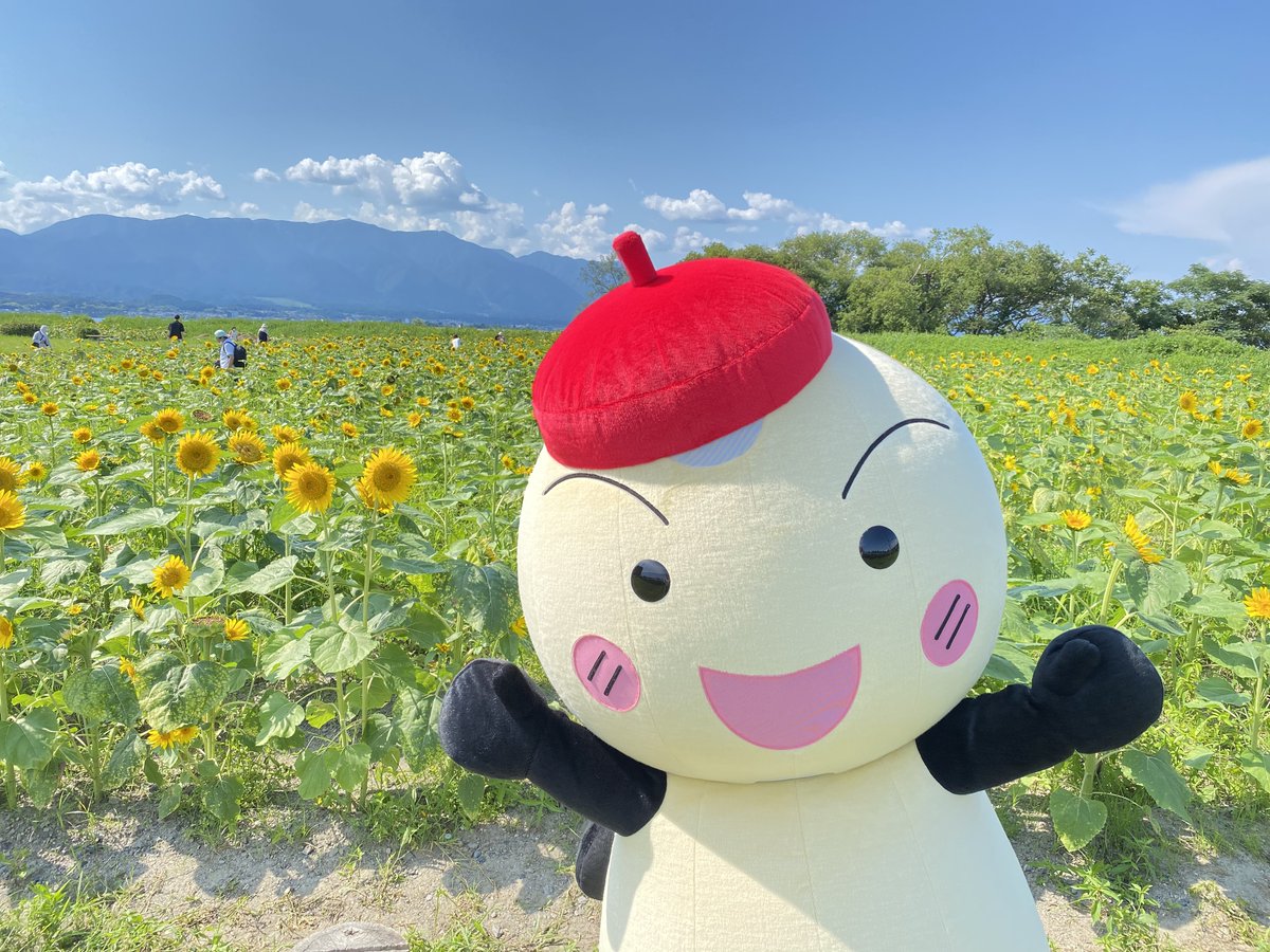もーりー 公式 守山市なぎさ公園の ひまわり畑 に行ってきたよ O いっぱい咲いてて とってもキレイ 彡 もーりー 守山市 ひまわり畑 なぎさ公園 もーりー 公式 守山市なぎさ公園の ひまわり畑 に行ってきたよ O いっぱい咲いてて とってもキレイ 彡 もーりー 守山市 ひまわり畑 なぎさ公園