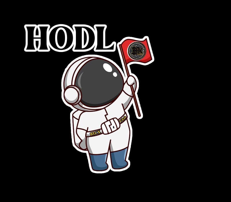 BitcoinxV2.0 tweet media