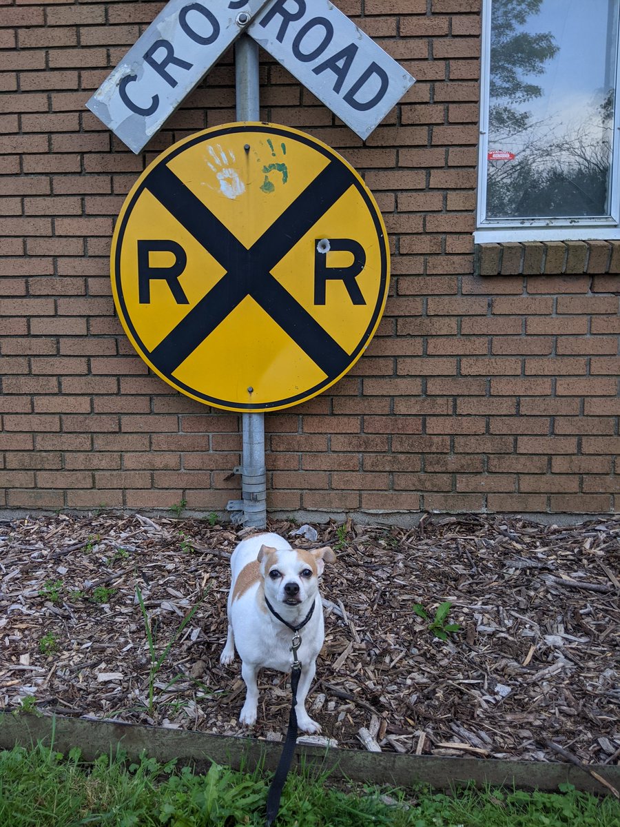cfm10580's tweet photo. took Chico to see quakey https://t.co/56BmsD2g8q