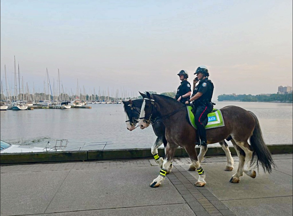 Cool to see the Toronto Police Mounted unit by the lake ... the horses are huge and so calm.  #walkbythelake #tpsmountedunit #horses #policehorse #lakeontario #communitysafety #toronto #SouthEtobicoke #Toronto
