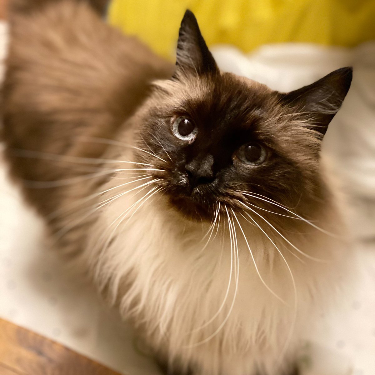 ✨Tina✨ (@TinaChan90) / Posts / X