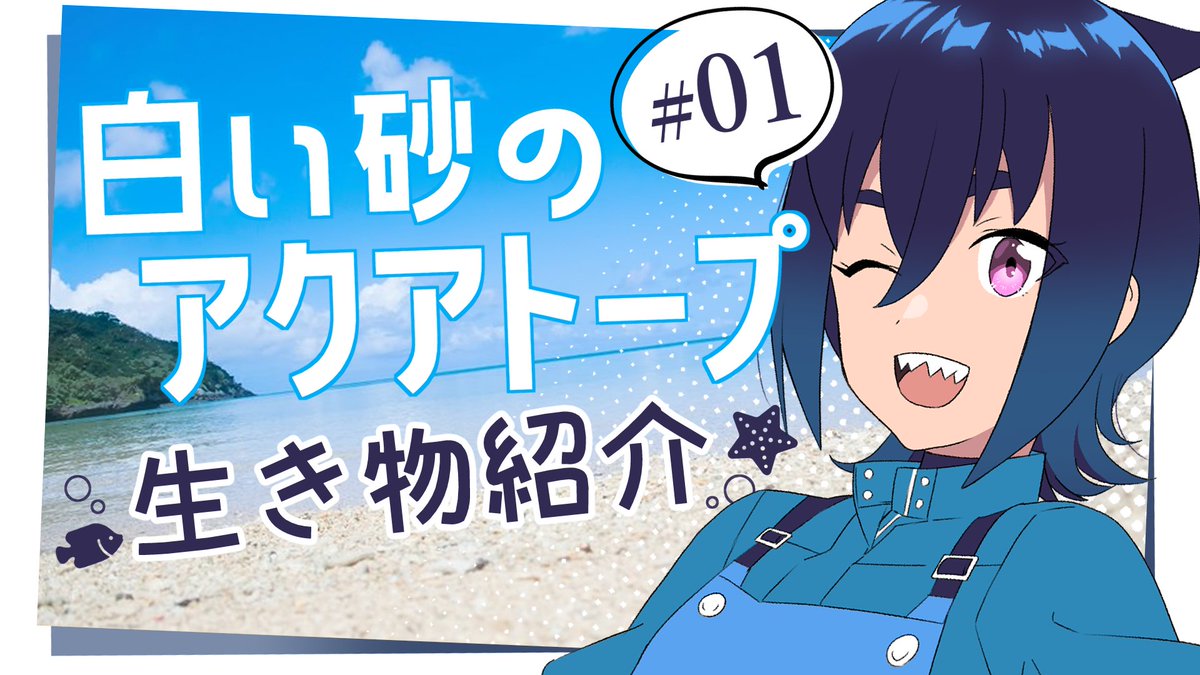 大歯メグ 水族館大好きサメv On Twitter 水族館 アニメ 01 白い砂のアクアトープの生き物紹介 Vtuber Https T Co Zm0tuvt0wm お待たせしました 現在放送中の水族館アニメ 白い砂のアクアトープ に登場する生き物を紹介する動画 ようやく投稿
