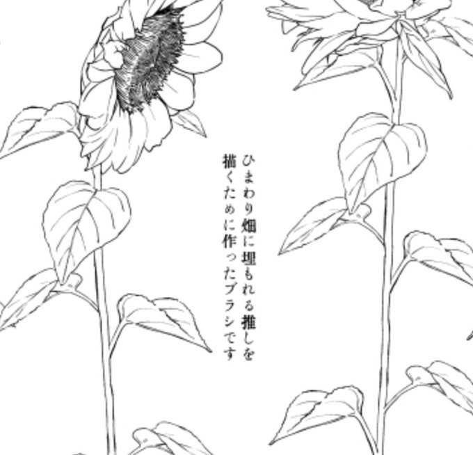 ありがとう・・・ございます・・・ 