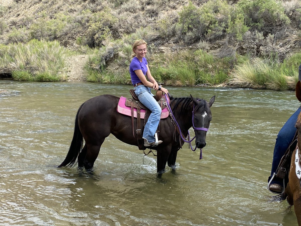 Allie Zant tweet media