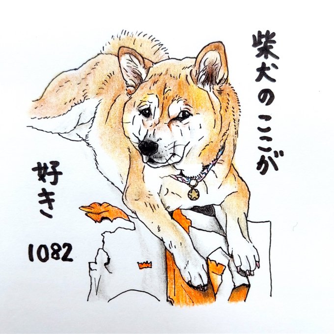 柴犬 高画質 のtwitterイラスト検索結果 古い順
