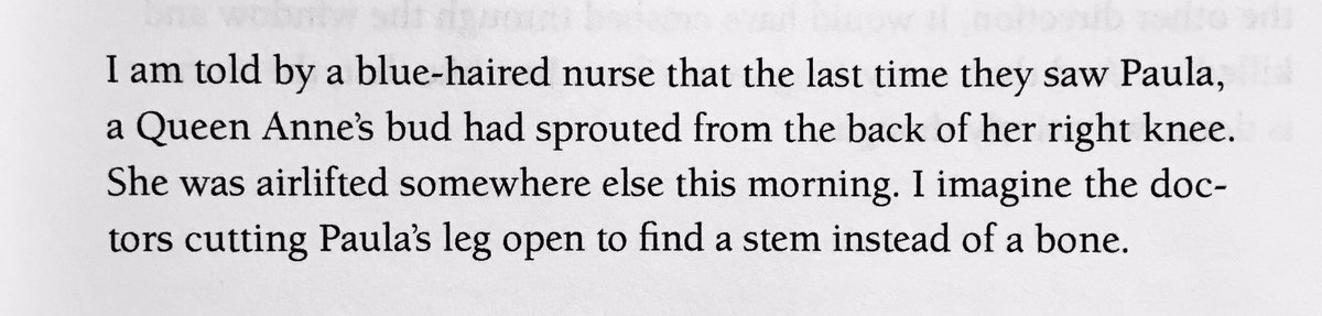 Ben Niespodziany ☁️🐋 tweet media
