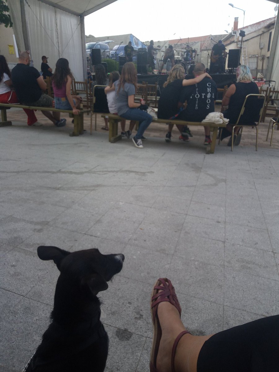 ChariG79019359's tweet photo. Termina #4GATOS con la divertidísima @CiaMargarito y el punk pucelano #Debakle. Un entorno incomparable, el mejor de los ambientes. Enhorabuena @VirginiaHGZ y al resto del equipo. Desde lo rural para lo rural, haciendo y sintiendo cultura segura.
¡Larga vida a #4GATOS!😸😸😸😸 https://t.co/hFXcNbJYy4