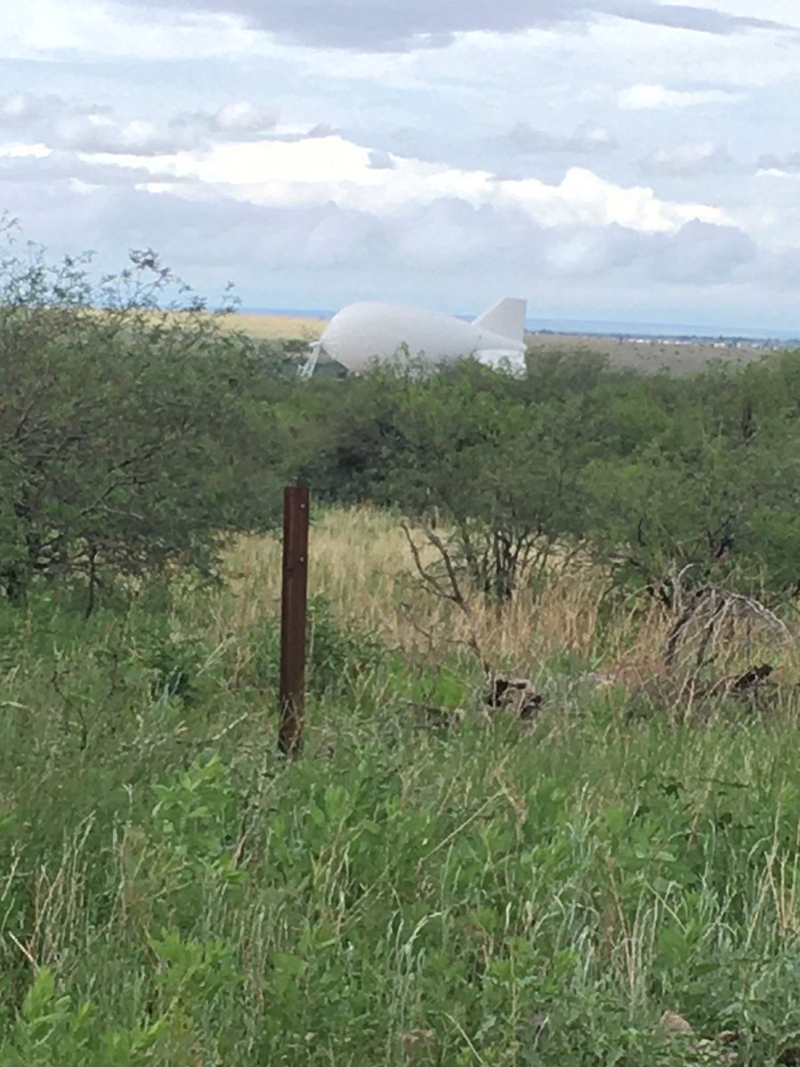 Jack Maynard tweet media