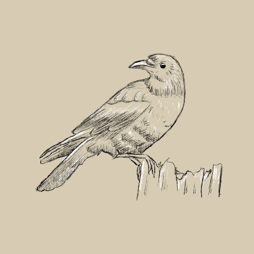 dickwalsh's tweet photo. Getting another look at the iPad stuff and trying to get creative again so I thought I would go with my usual crow thing 😜 so a sketch in Procreate and a quick model in Forger I've always wanted to have a go at sculpting and it's really very intuitiv… https://t.co/5zANeCsuRN https://t.co/HdJKx44Zyw