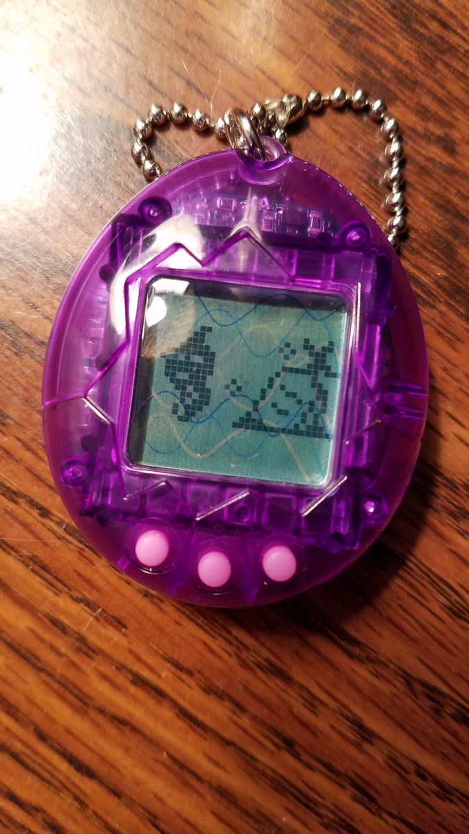 ToshitchiGotchi's tweet photo. Today I finally let my little fishy lad pass on since becoming an adult. He may have been a pain in the butt to raise, but I'll miss my little fish dearly. Rest easy little dude!

As for what's next.. I think I wanna revisit a Tamagotchi from the challenge run. https://t.co/TsEMZ9xXIX