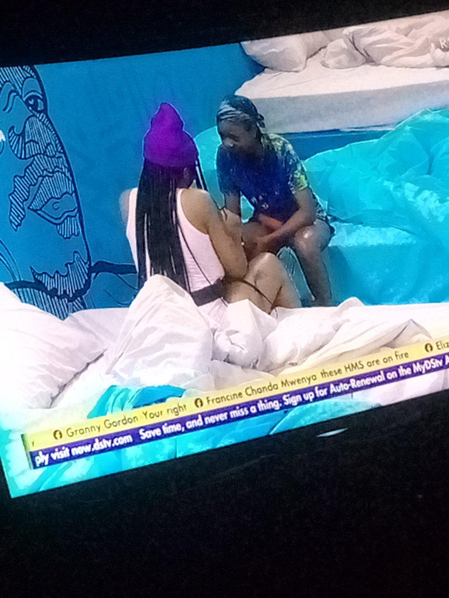 JoshGenius6's tweet photo. Una don start guardians and counseling so soon
Set awon,snitch geng 
  #BBNaija https://t.co/K2sMguAZgJ
