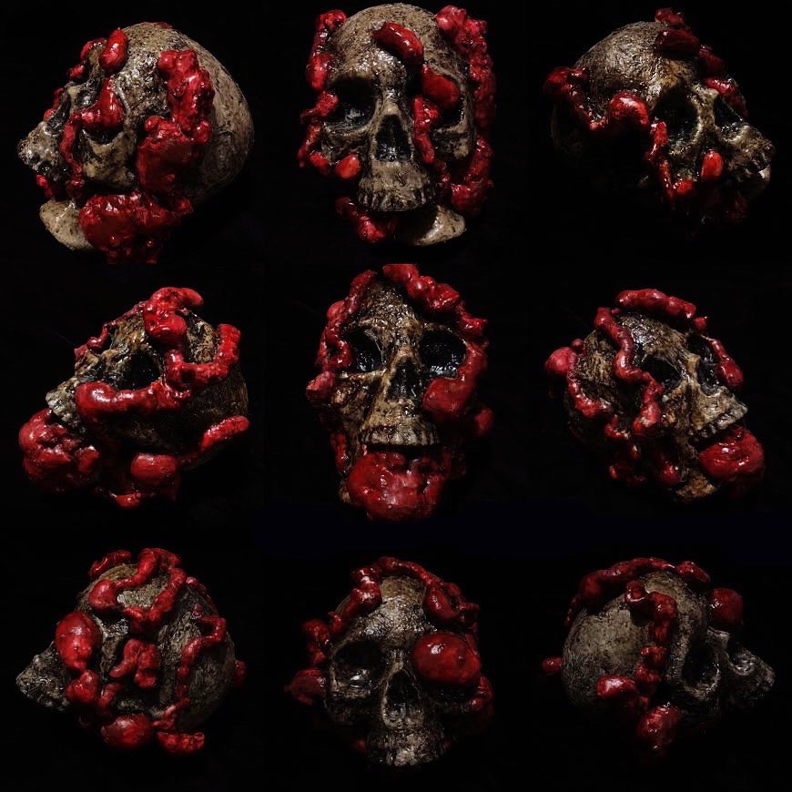 DDCP_SF's tweet photo. Another round of skulls complete! 
💀🖤🩸💀 Interested in owning one of our screen-used skull props? Check out the Skull Duggery 
perk. 7 left! https://t.co/hIMyIu2Nqm #skulllover #horrorprop #indiehorror https://t.co/y2fZIZgPxL