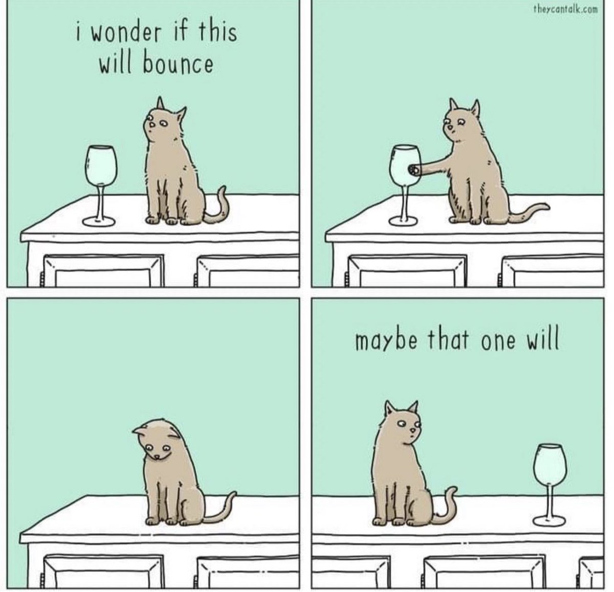 nkotbblockhead2's tweet photo. Sensationally, Sassy, Sunday funnies for friends #2 😂 @LouDPhillips @AMaria_Delsante @Arritheskelecat @carolynlawrence @ReamesKw   @DDUBGIRL69 @BratLitl @AllyisCuriouser https://t.co/9JBUvQt9qa