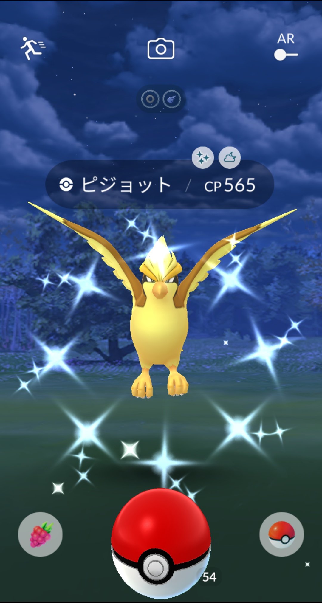 ミドリコ 久しぶりに光ったー ㆁwㆁ けど ゴメン 今はキミじゃないんだ O ディアルガ タテトプス ズガイドスの色違い欲しいな O ポケモンgo 色違い ピジョン T Co Vtkg90xodz Twitter