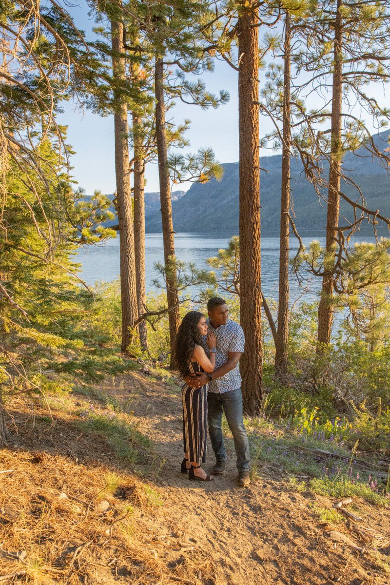 gowestfoto's tweet photo. Vertical composition made the most sense to me here.  The light was also ideal for zooming out a bit and including the surrounding landscape in the image.

#tahoeportrait #portraitphotography #outdoorportrait #vertical #goldenhour https://t.co/mTfeHARZ8z