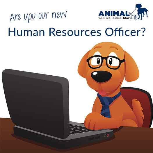 𝗡𝗢𝗪 𝗛𝗜𝗥𝗜𝗡𝗚: 𝗛𝘂𝗺𝗮𝗻 𝗥𝗲𝘀𝗼𝘂𝗿𝗰𝗲𝘀 𝗢𝗳𝗳𝗶𝗰𝗲𝗿 – 𝗠𝗮𝘁𝗲𝗿𝗻𝗶𝘁𝘆 𝗟𝗲𝗮𝘃𝗲 𝗖𝗼𝗻𝘁𝗿𝗮𝗰𝘁 (𝟭𝟮 𝗺𝗼𝗻𝘁𝗵𝘀)
Email your resume to hr@awlnsw.com.au. Please read the eligibility criteria before applying, available at: awlnsw.com.au/careers