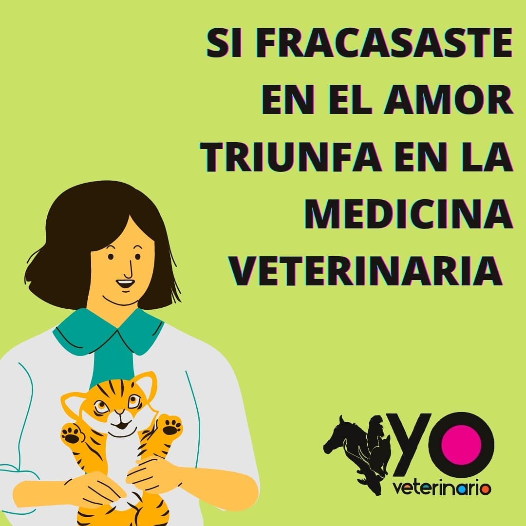 YoVet_Oficial's tweet photo. #yoveterinario #veterinaria #veterinario #medicoveterinario #medicinaveterinaria #estudianteveterinario #rincóndelveterinario #vets #veteriner #vetbr #medicinaveterinariabr #veterinary #medicineveterinary #veterinarymedicine #medvet #medvetlife #medveterinaria #medveterinariabr https://t.co/C8UN01aXjf