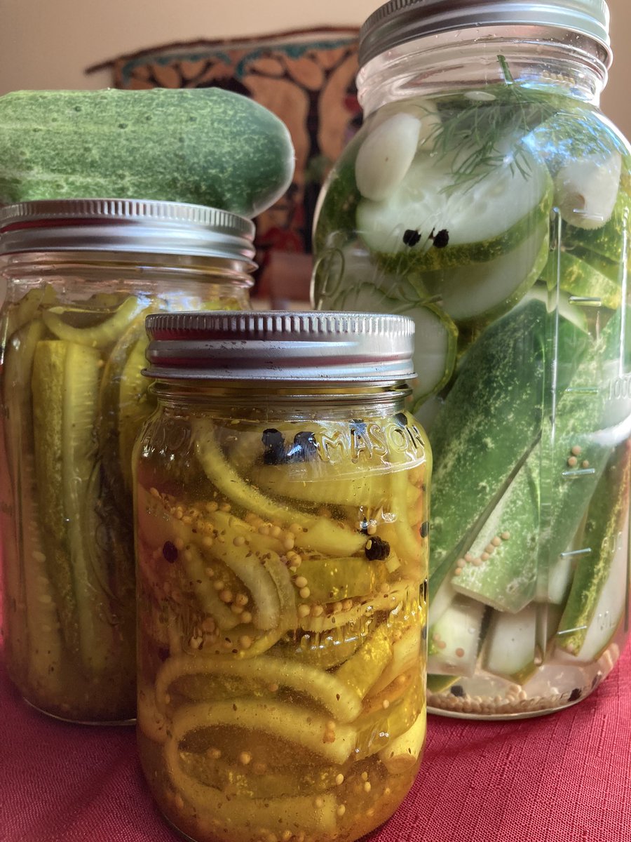 cctphotographer's tweet image. So many cucumbers, so many pickles. 🥒 #pickles #cucumbers #capecodgarden