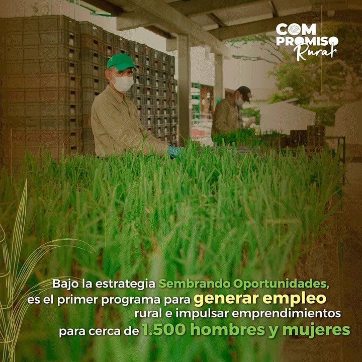 ProcanaCol's tweet photo. #CompromisoRural, el programa que apoya la capacitación y la generación de empleo agroindustrial en el Valle del Cauca, Cauca y Risaralda. ¡El sector agroindustrial de la caña, le sigue apostando a la generación de empleo!
Conoce más aquí https://t.co/hwymgYNtiT
#Azucari https://t.co/yAKkQEYEaS
