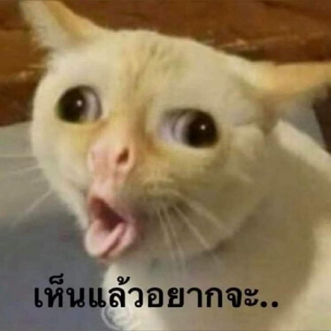 แอบแซ่บกันป้ะ #แอบแซ่บ #แอบแซ่บmm https://t.co/IonEa3mFN6<a href="/tag/%E0%B9%81%E0%B8%AD%E0%B8%9A%E0%B9%81%E0%B8%8B%E0%B9%88%E0%B8%9A"class="tags">#แอบแซ่บ</a><a href="/tag/%E0%B9%81%E0%B8%AD%E0%B8%9A%E0%B9%81%E0%B8%8B%E0%B9%88%E0%B8%9Amm"class="tags">#แอบแซ่บmm</a>