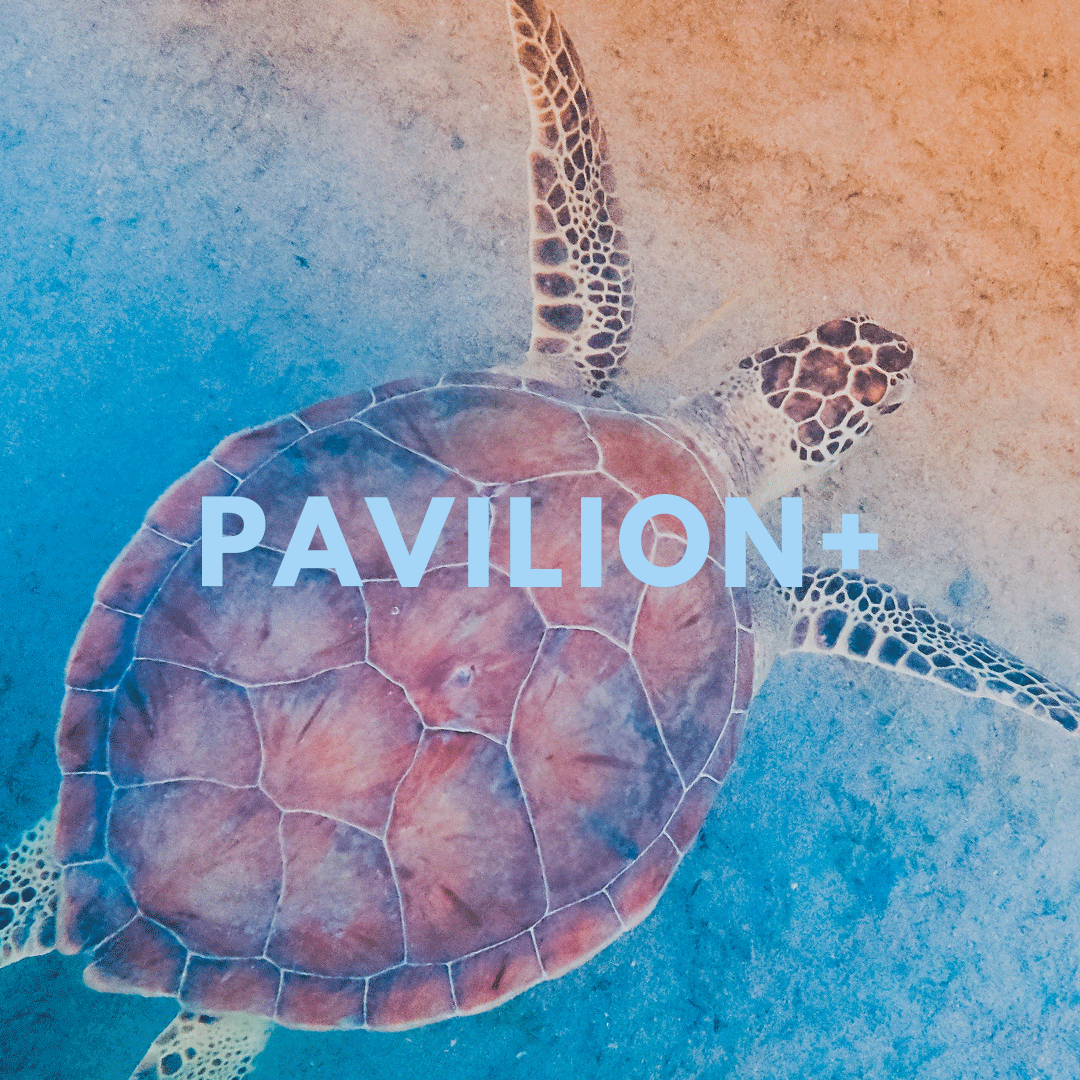 pavilionplusco's tweet photo. It's Sunday evening! Stream FREE Caribbean Film and Television on PAVILION+. #StreamFREE #PAVILIONPlus
- 
Access via https://t.co/forhGa91Zd https://t.co/lb6bZzkOM8